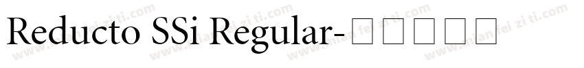 Reducto SSi Regular字体转换